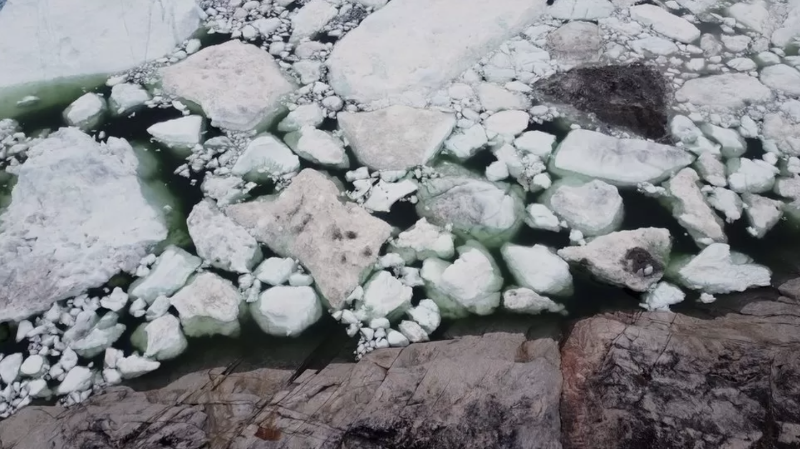 氣候變化：隨著北極變暖格陵蘭島的發(fā)生了什么變化？